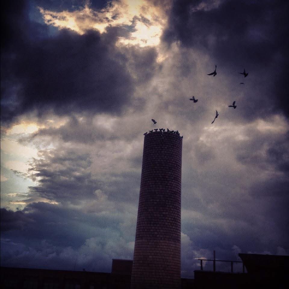 TalibanArtDealer tweet media