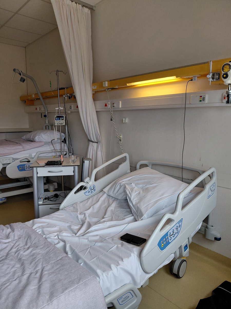 iris. ♡ tweet media