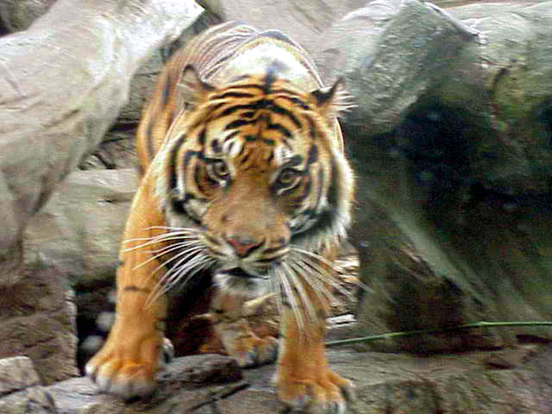 8700 Feet High🇺🇲 tweet media