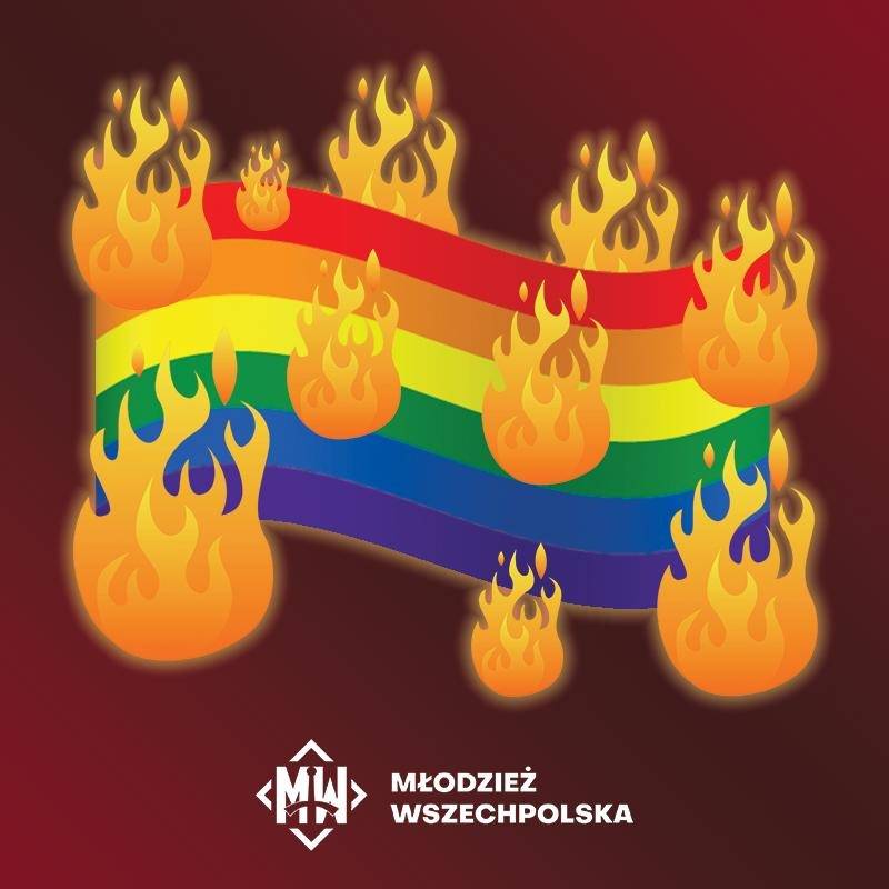 Młodzież Wszechpolska tweet media