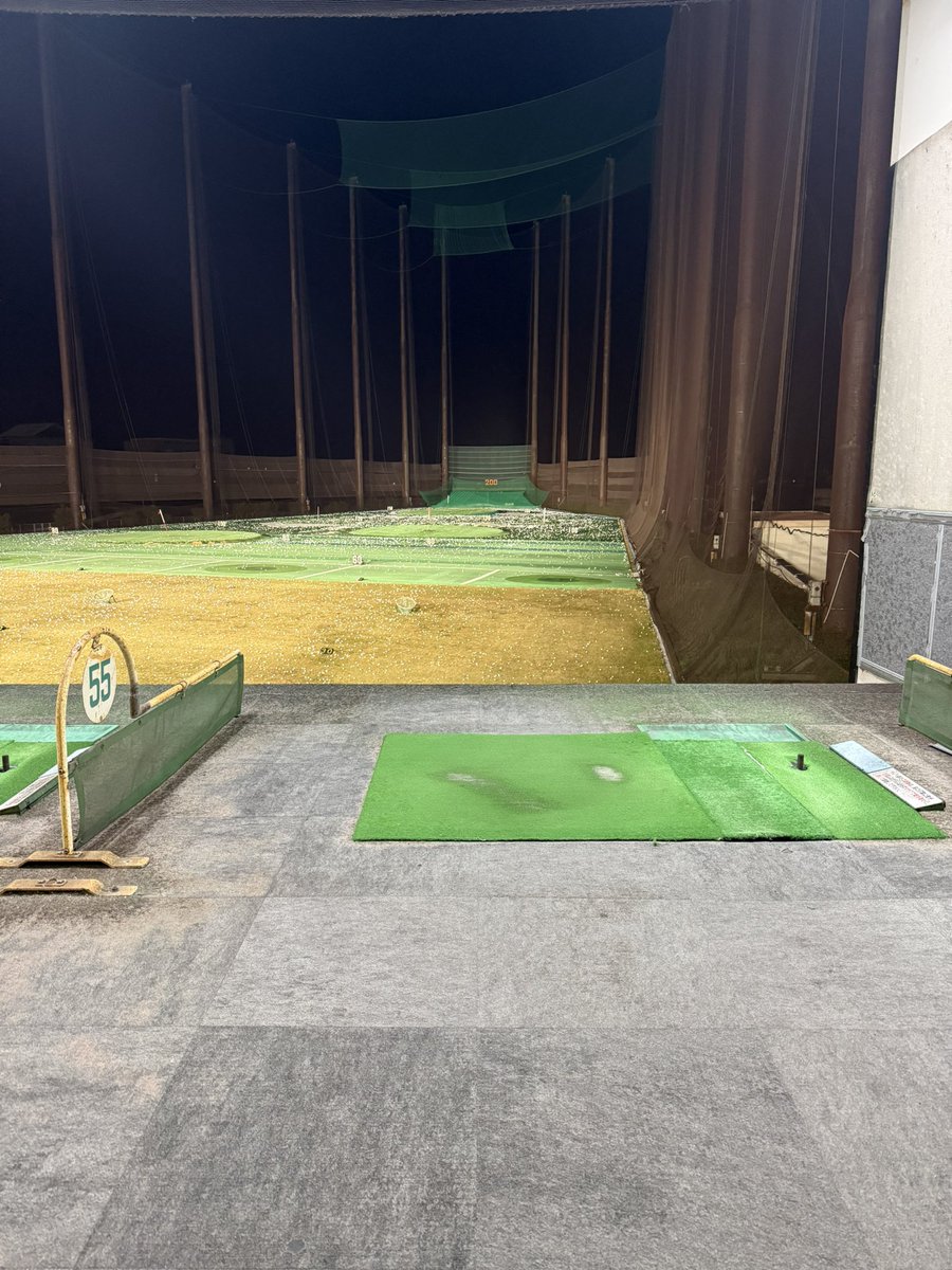 プードル係長 tweet media