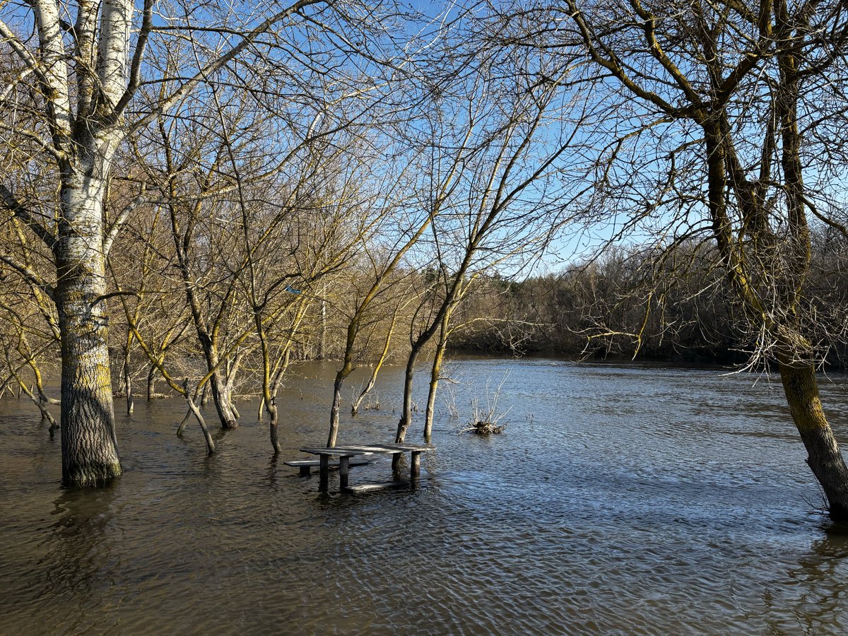 why_not? tweet media