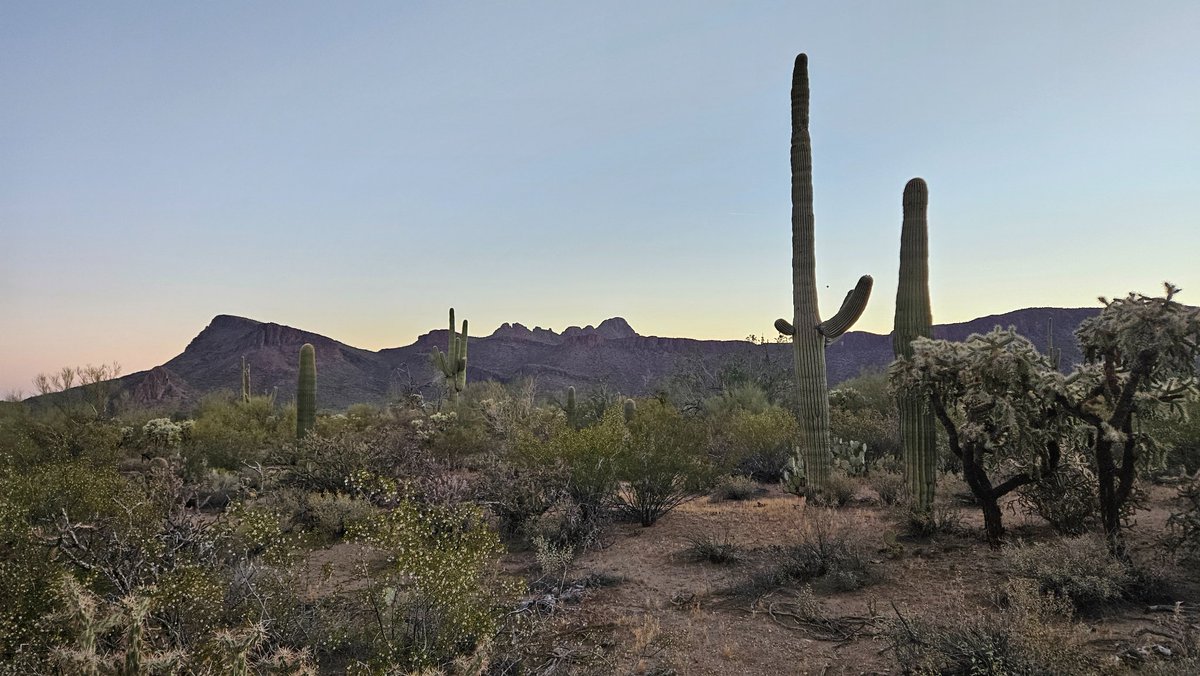 Boilerplated tweet media