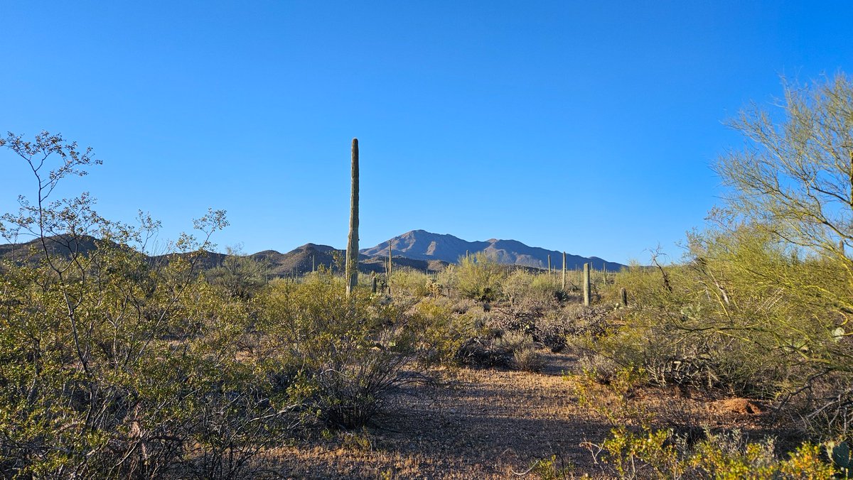 Boilerplated tweet media