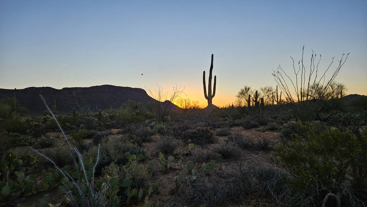 Boilerplated tweet media