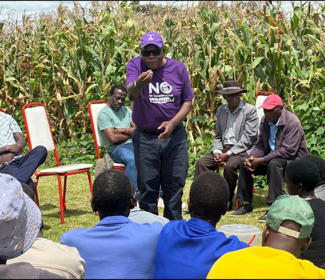 Gerrard Anko Ged Belts tweet media