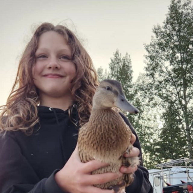 Lee Patriot Hood tweet media