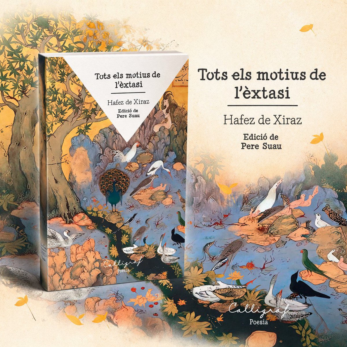 Edicions Cal·lígraf tweet media