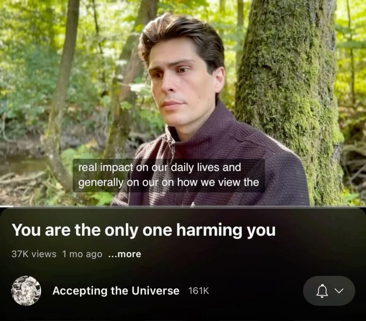 AI Panda tweet media