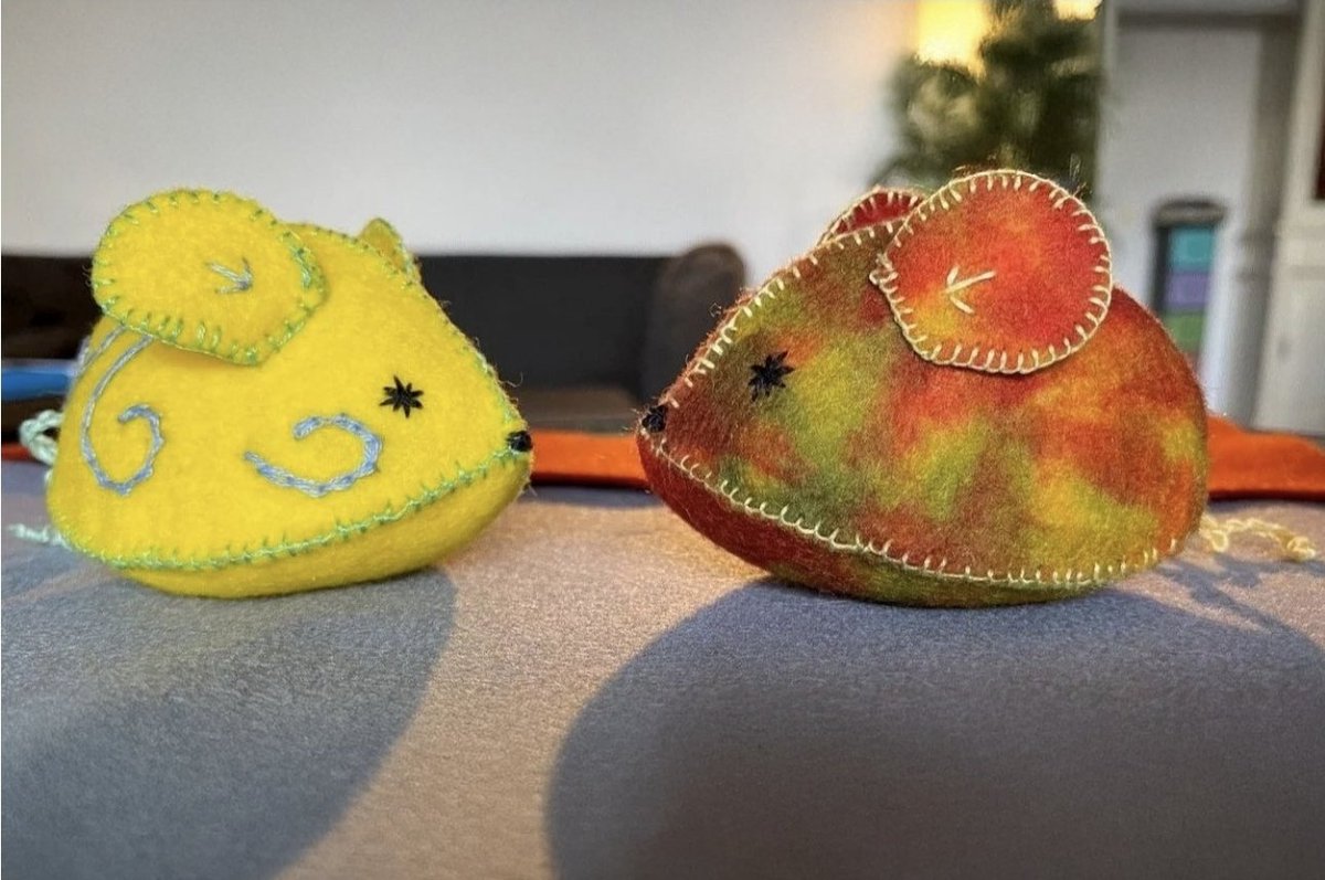 Jessica Kloosterboer tweet media