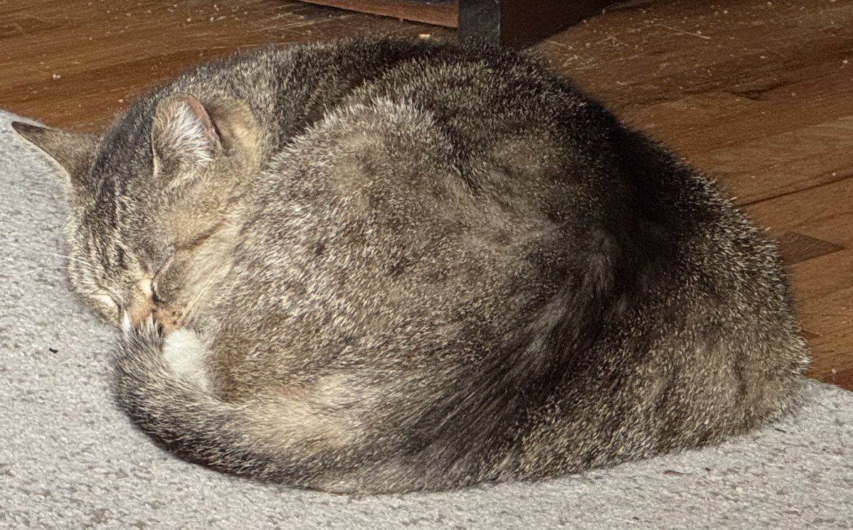 PNW-Blues tweet media