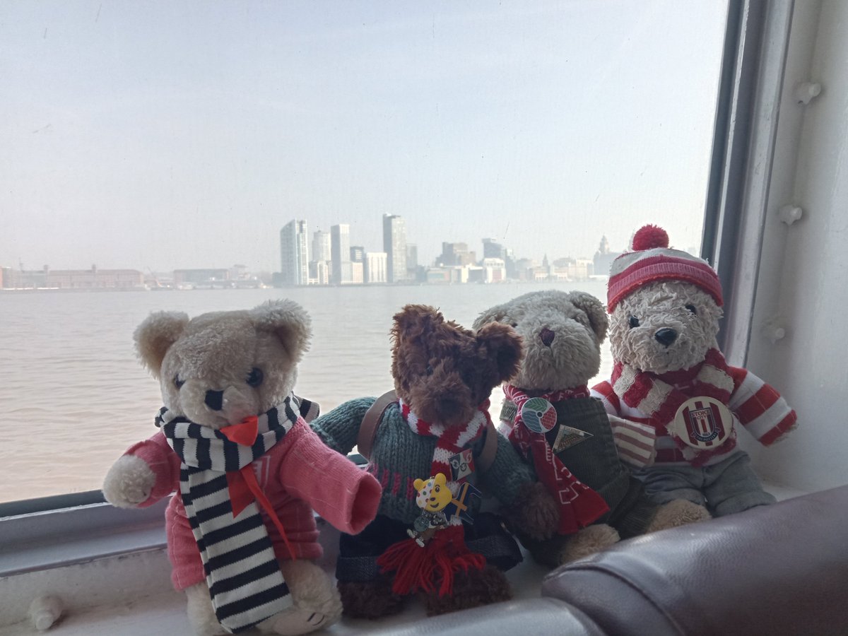 Hanley Bear ⚽️ tweet media