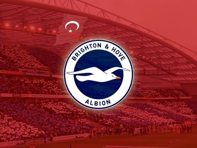 Brighton Türkiye tweet media