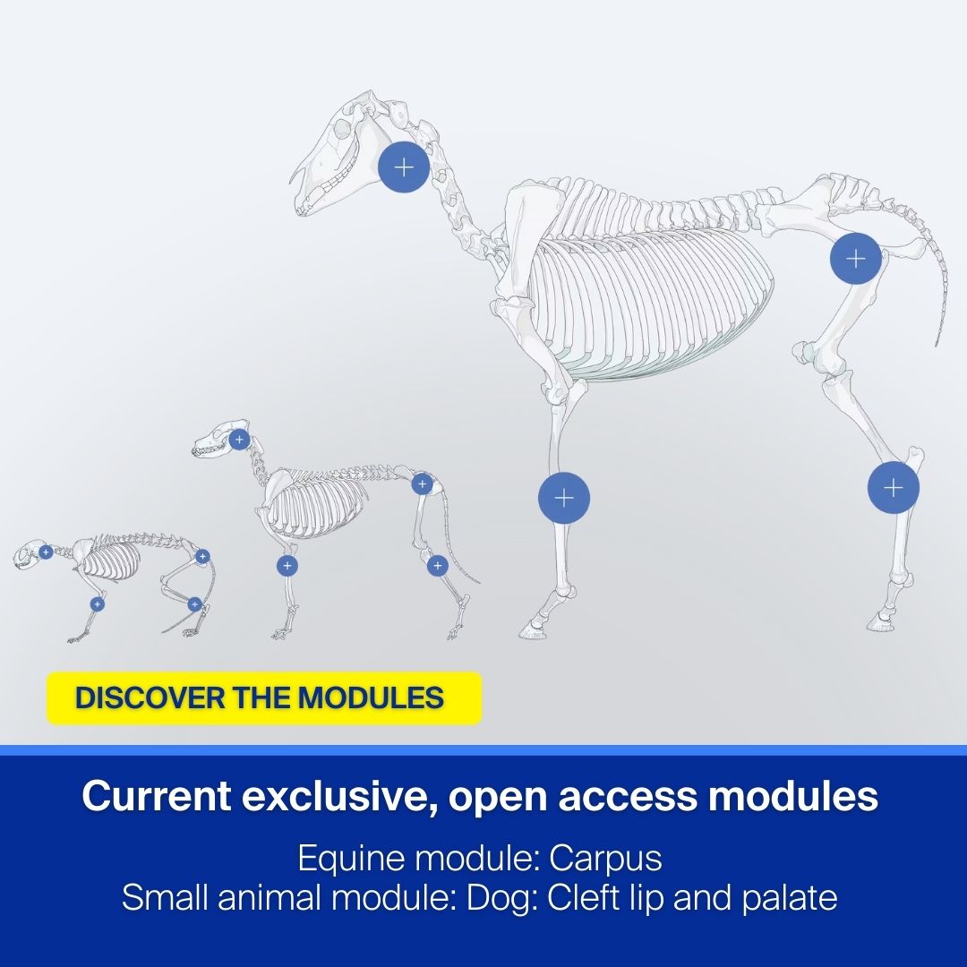AO Surgery Reference tweet media