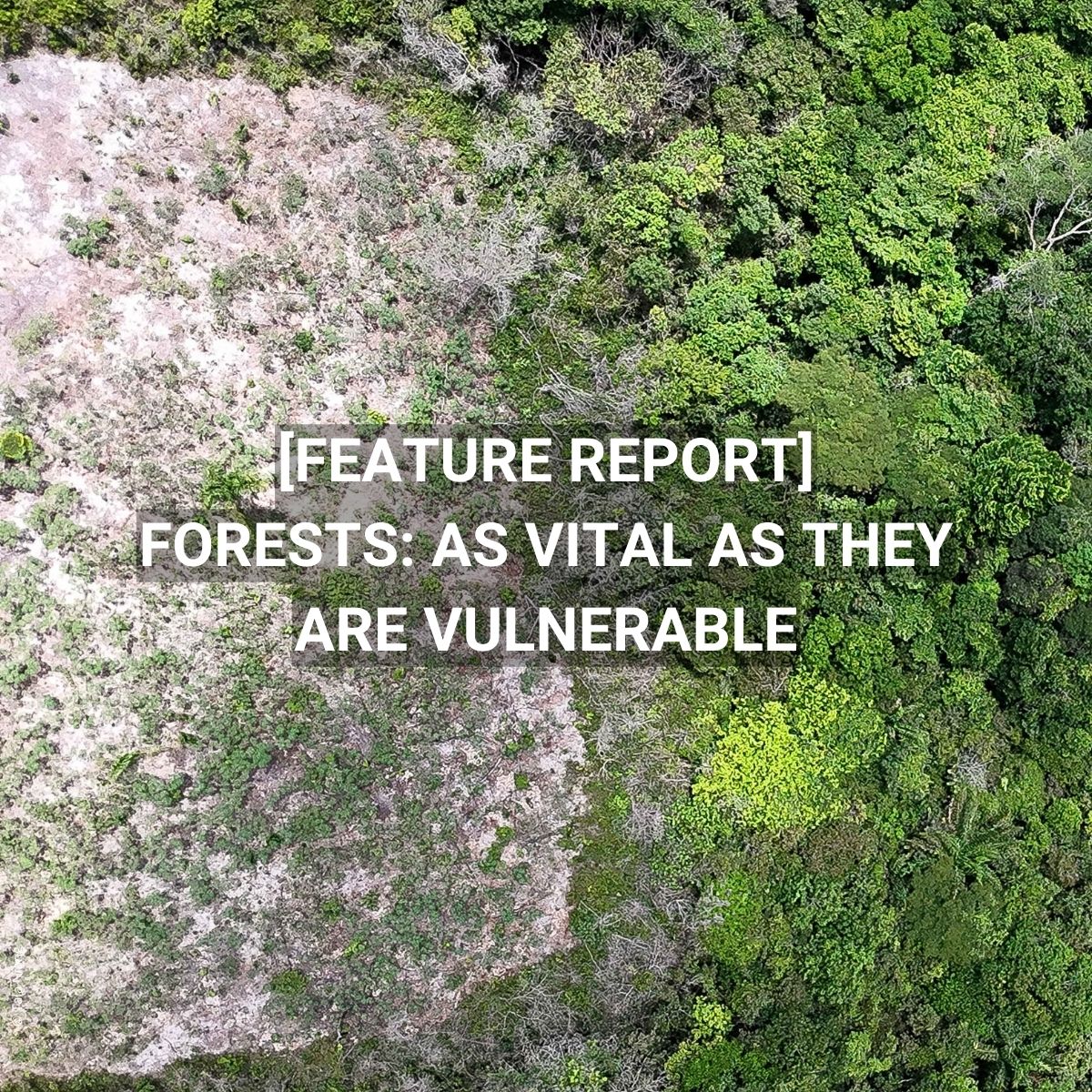 AFD_en 🇫🇷 🇪🇺 tweet media