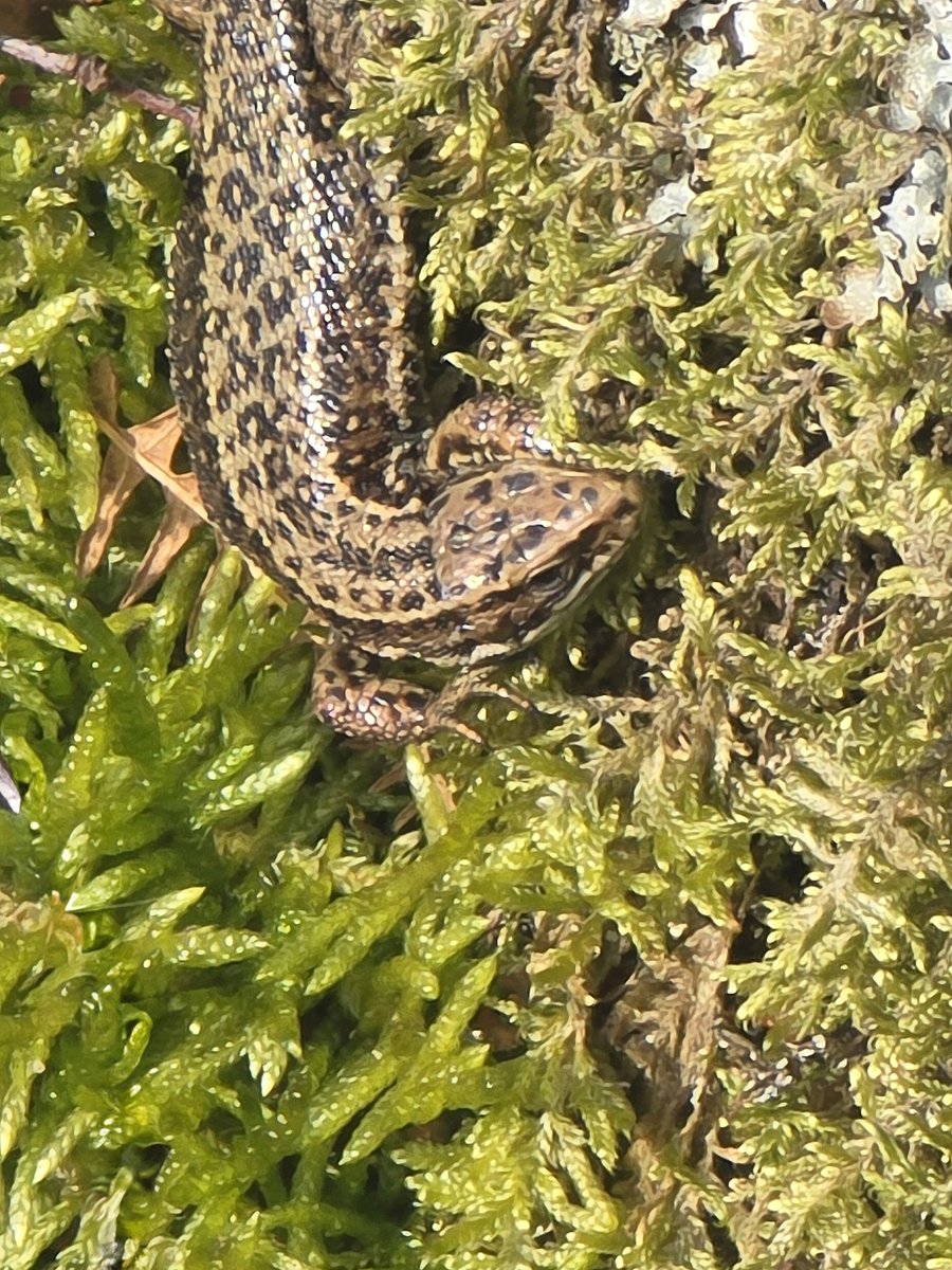 #WeDoGrass Ian tweet media