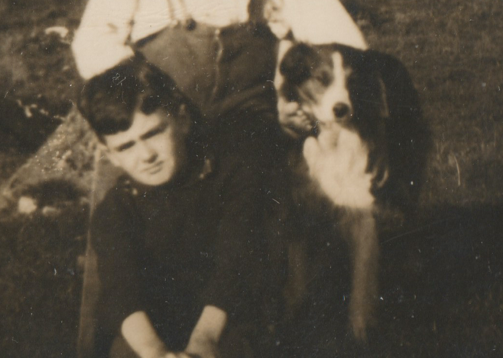 Roscommon County Council tweet media