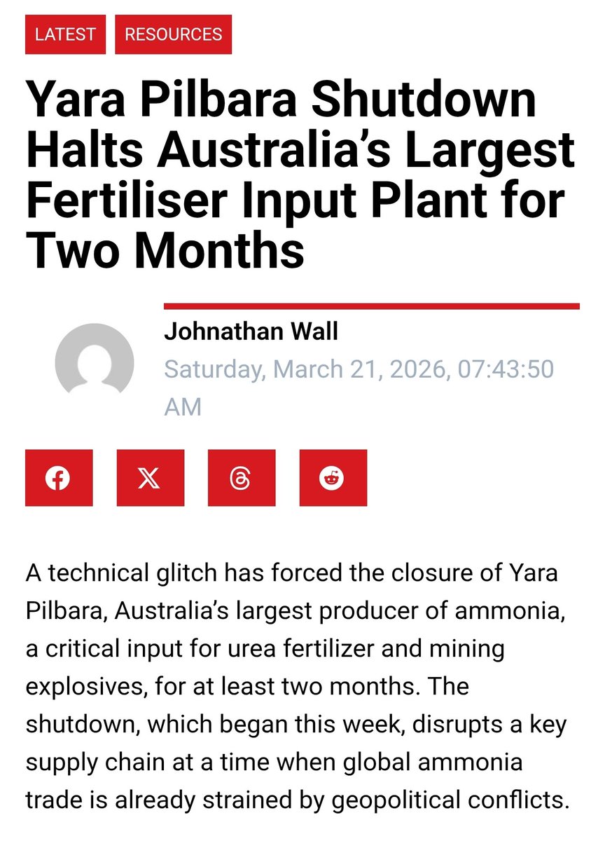 The Bull Whisperer tweet media