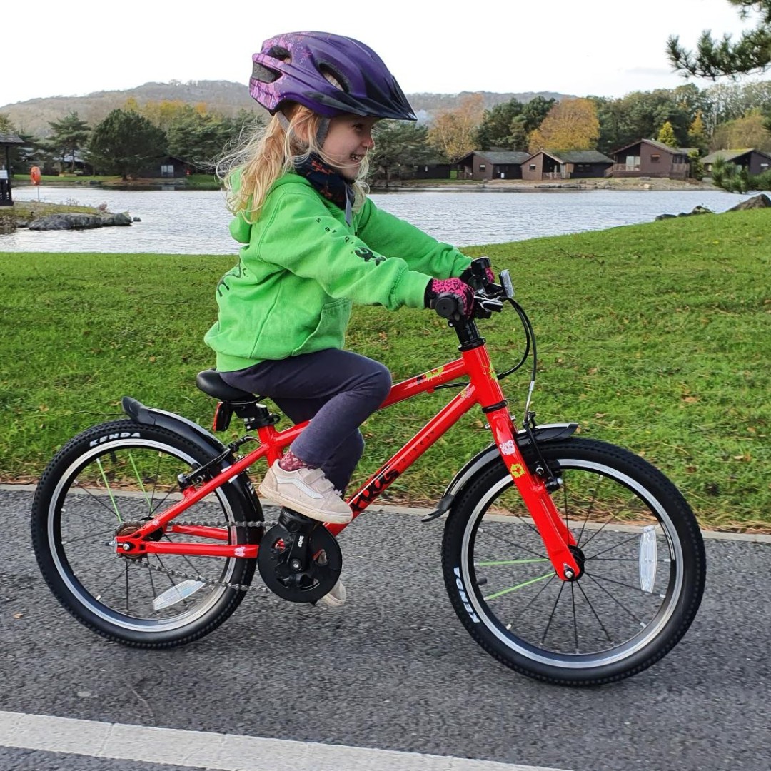 Frog Bikes tweet media