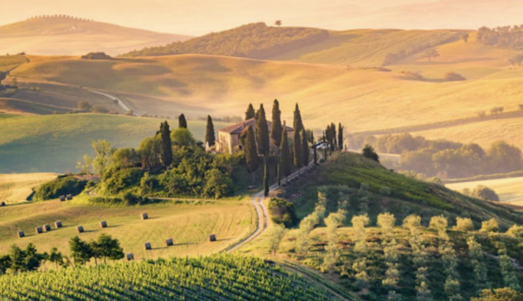 Rob Lemon tweet media