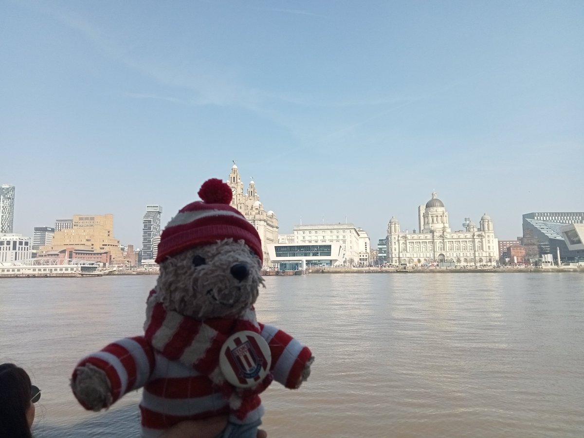 Hanley Bear ⚽️ tweet media