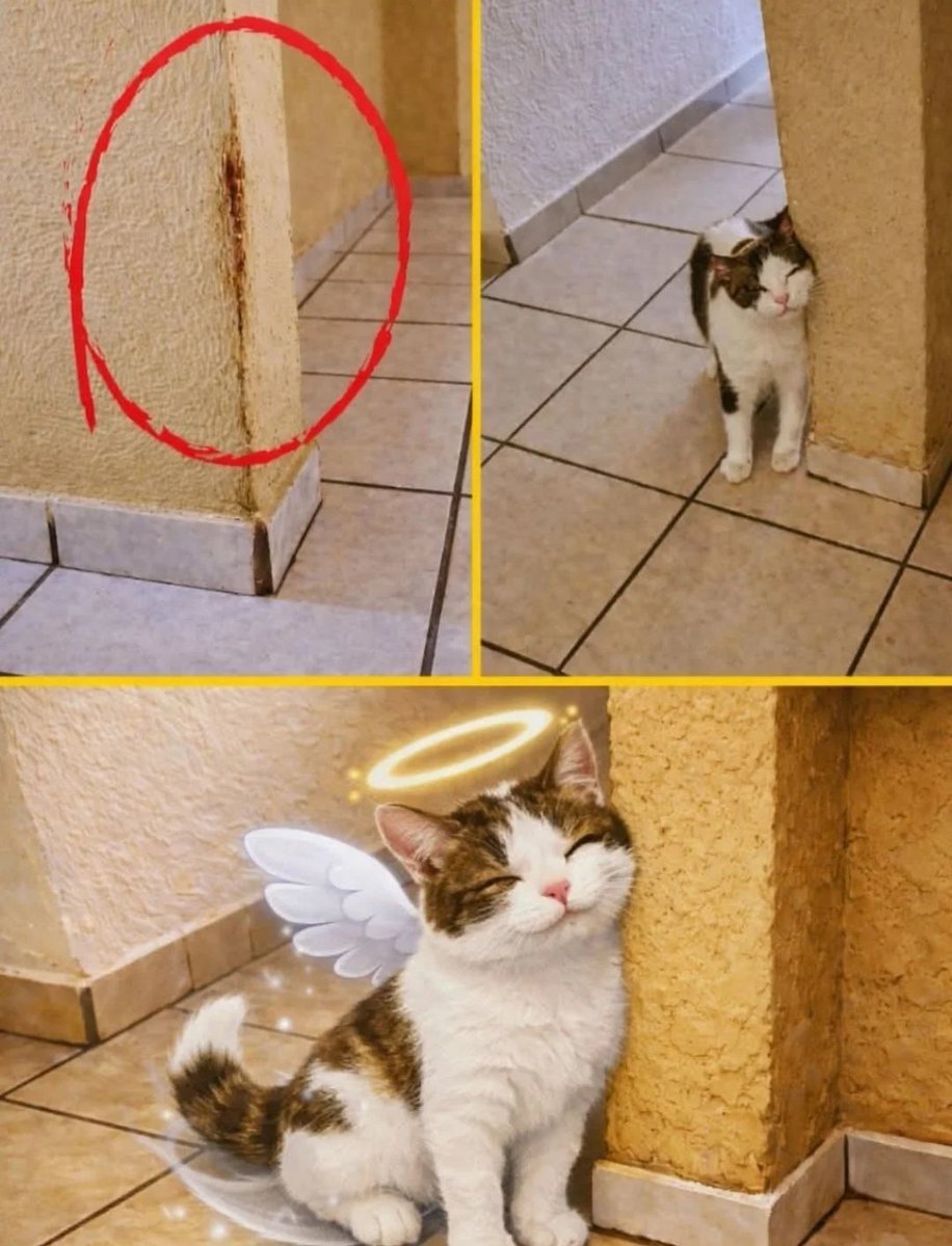 Huda Yahya tweet media