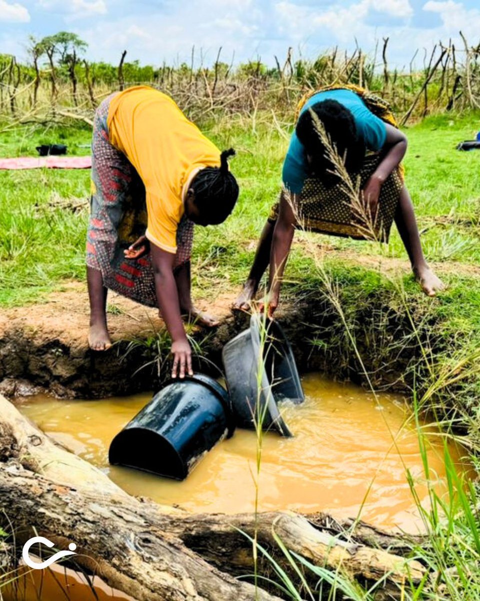 Cross International tweet media