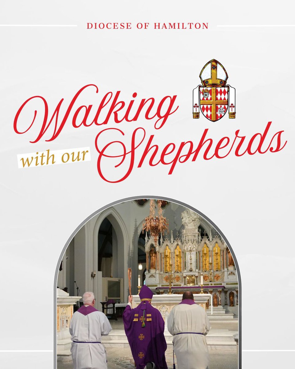 Diocese of Hamilton tweet media