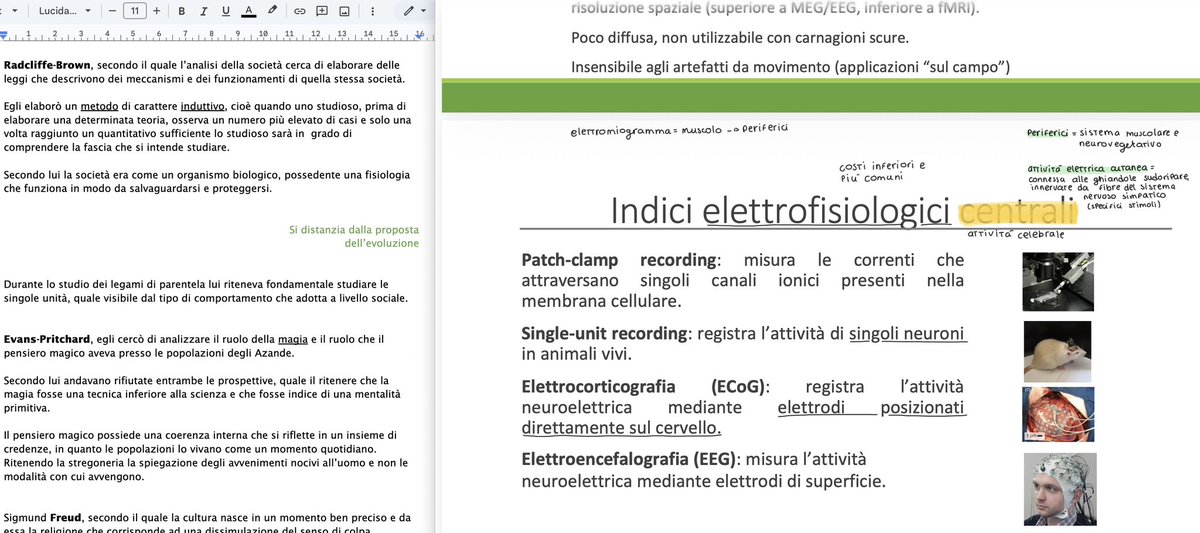 fra 🐈‍⬛ tweet media