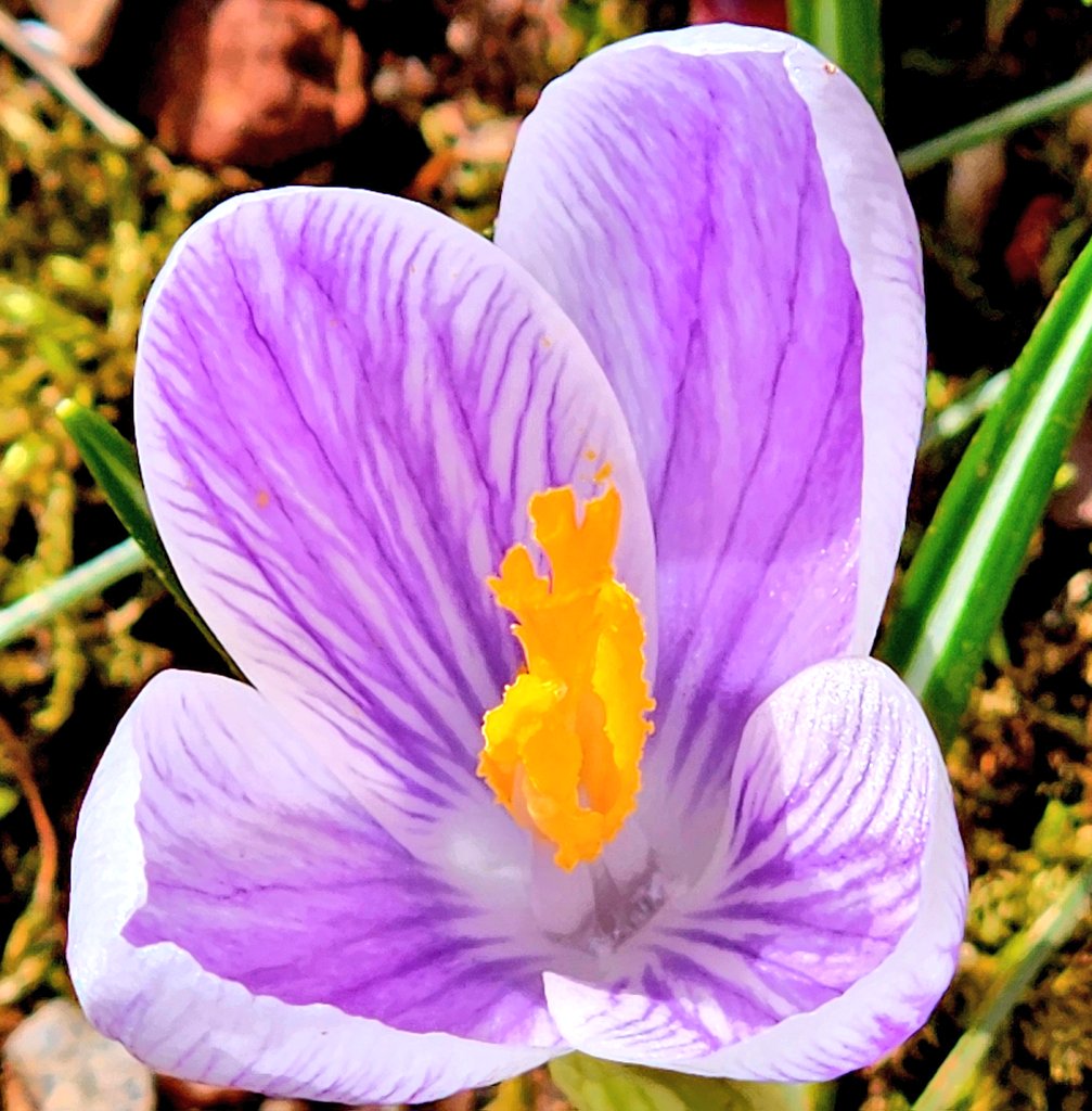 Maria Carvalho tweet media