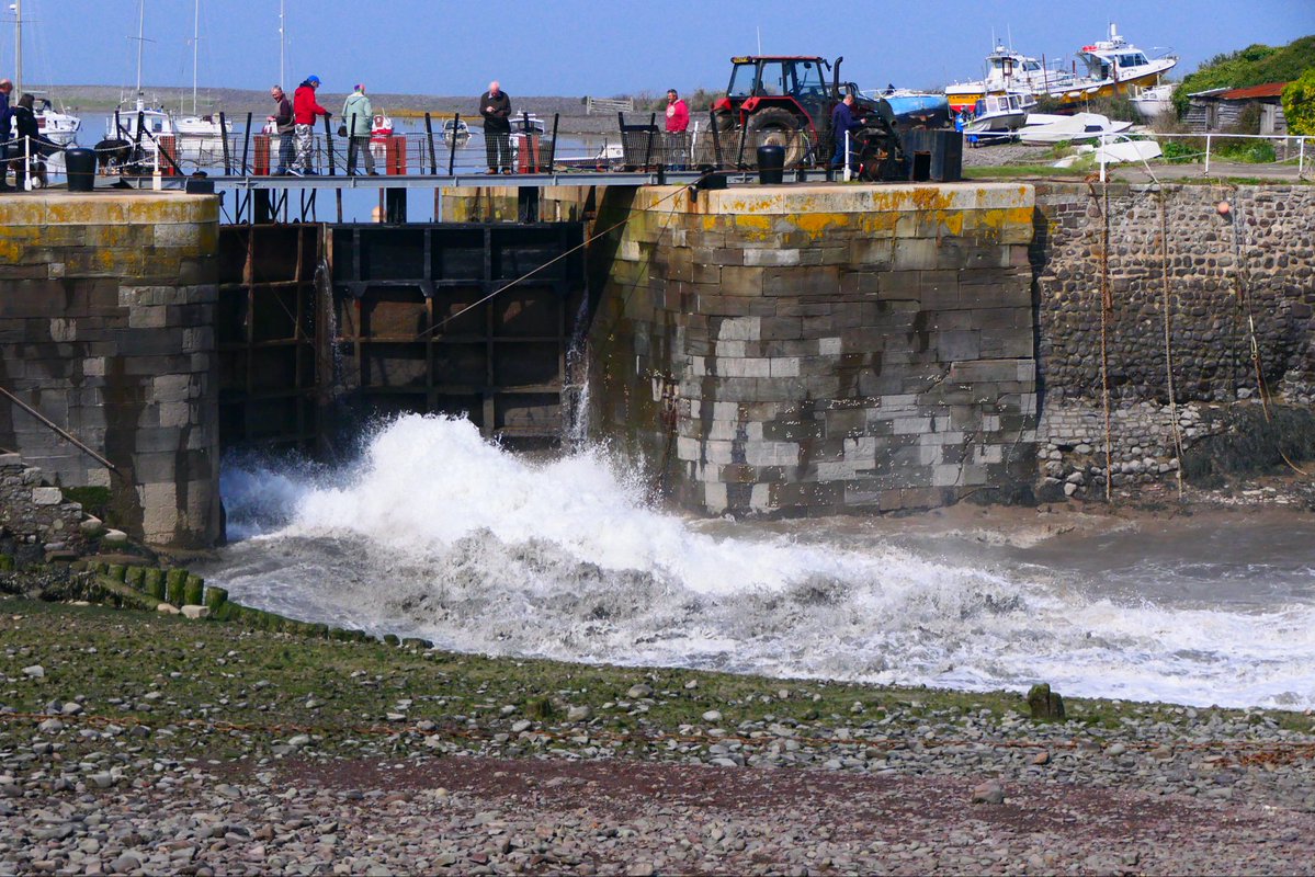 Susan Locke tweet media