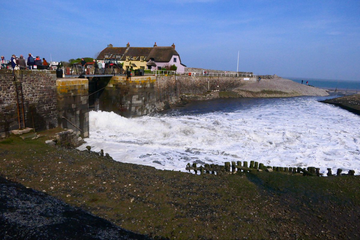 Susan Locke tweet media