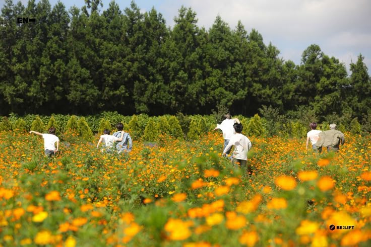 Erii.✰ENHYPEN IS 7 tweet media