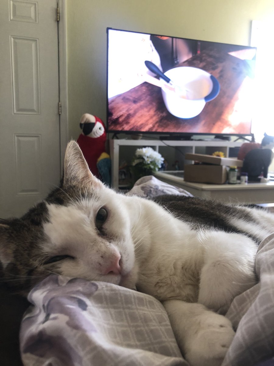 GingerSnaps//comms open! tweet media