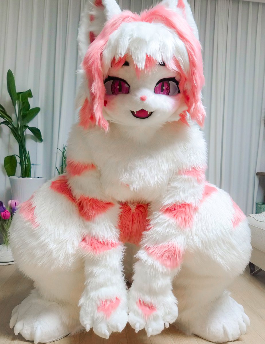 루룽 🔜 3부코 tweet media