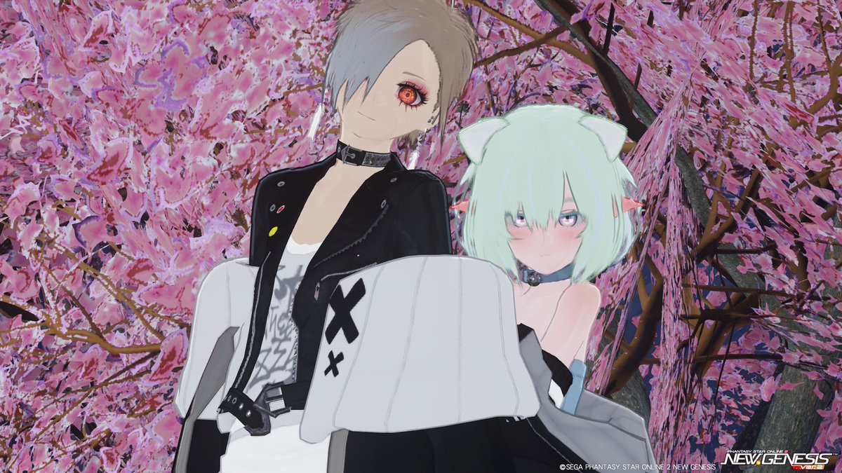 キアル@NGS ship10 tweet media