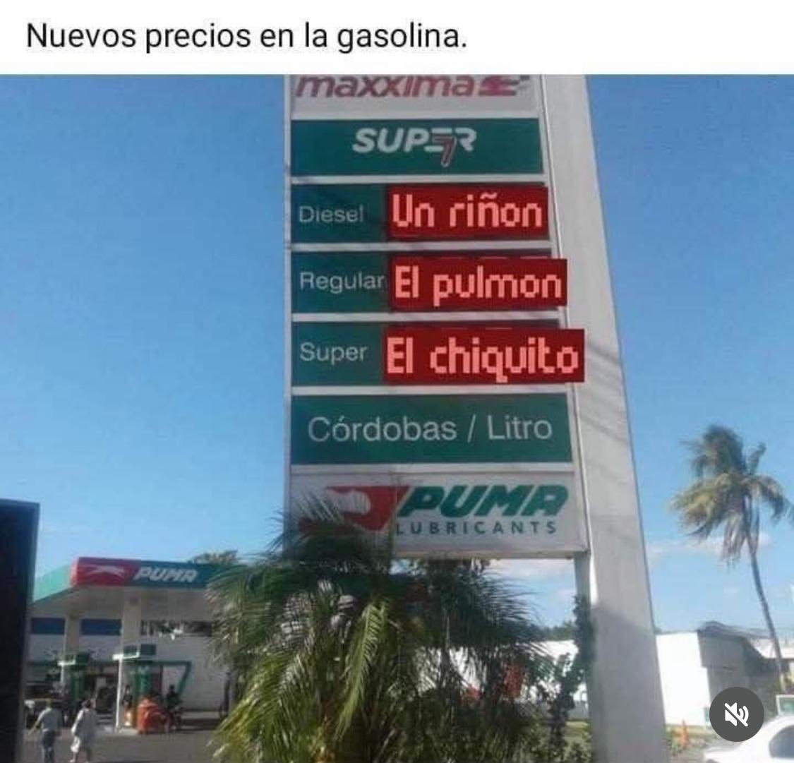 L' Evns 🌷 tweet media