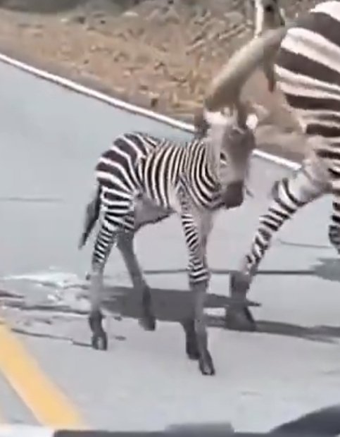 ㅇ..으엉!어..ㅇ!                                          어머니.