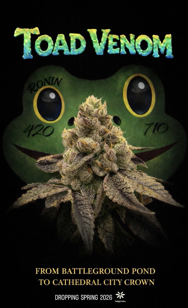 nugg|notes tweet media