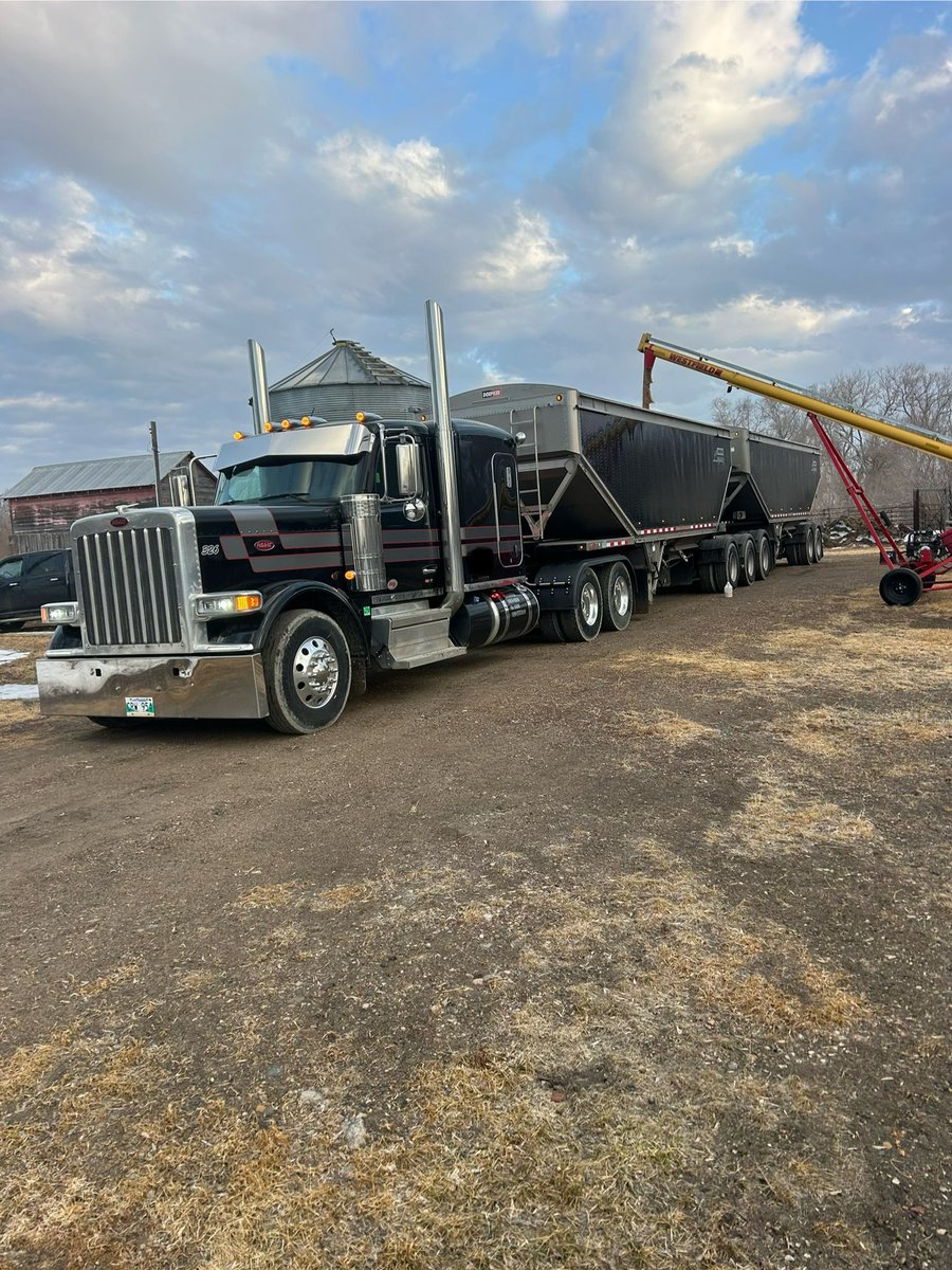 Brock Shearer tweet media