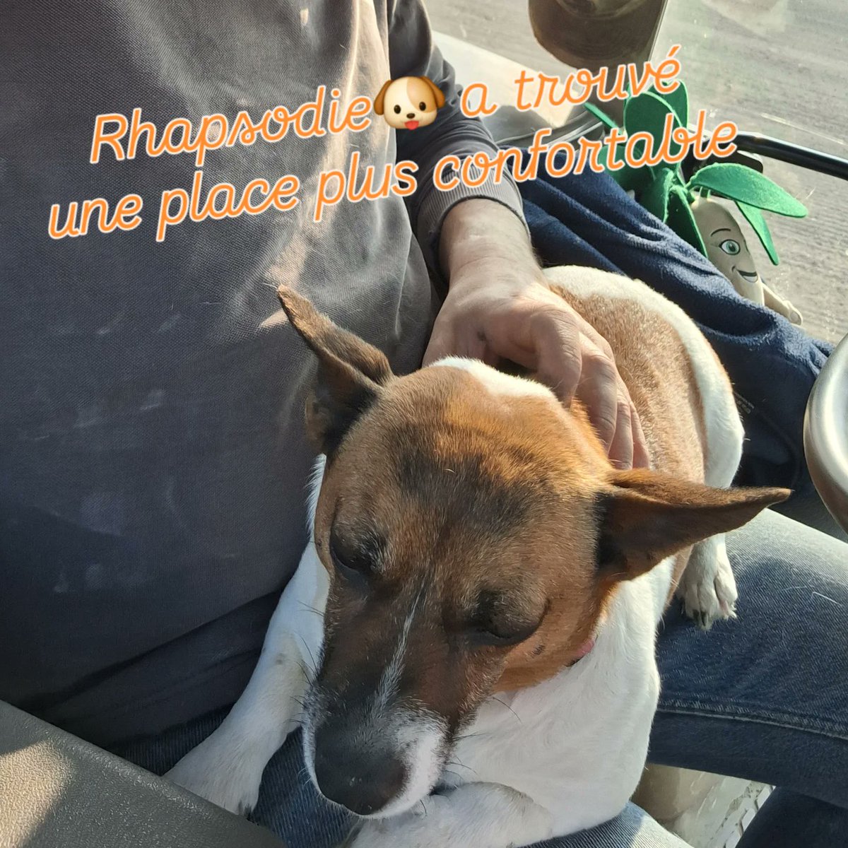 Alexis Leherle tweet media