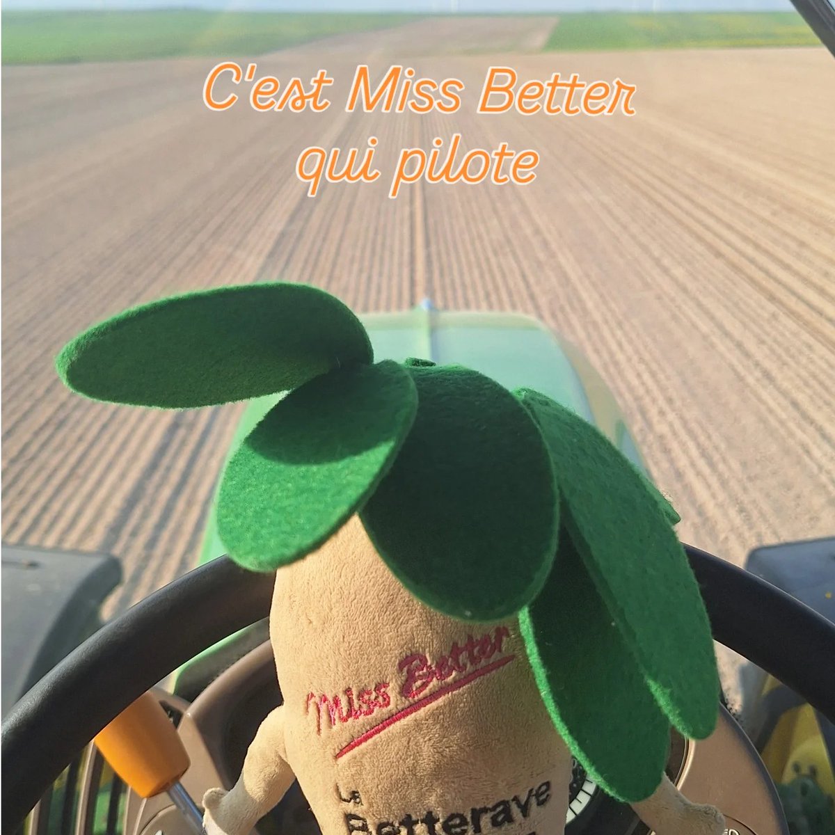 Alexis Leherle tweet media