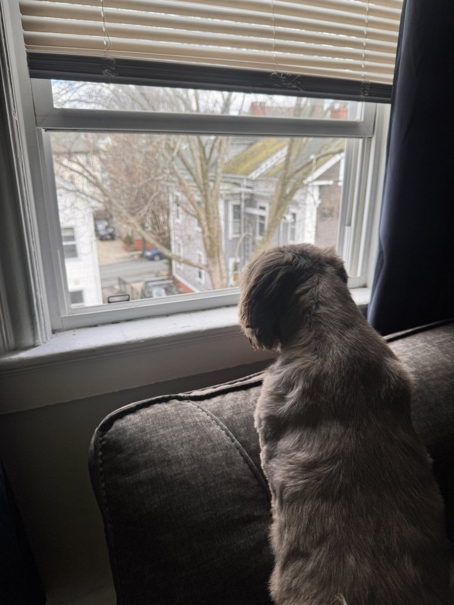 To whoever is throwing trash around Providence, specifically the East Side

SHES WATCHING YOU!