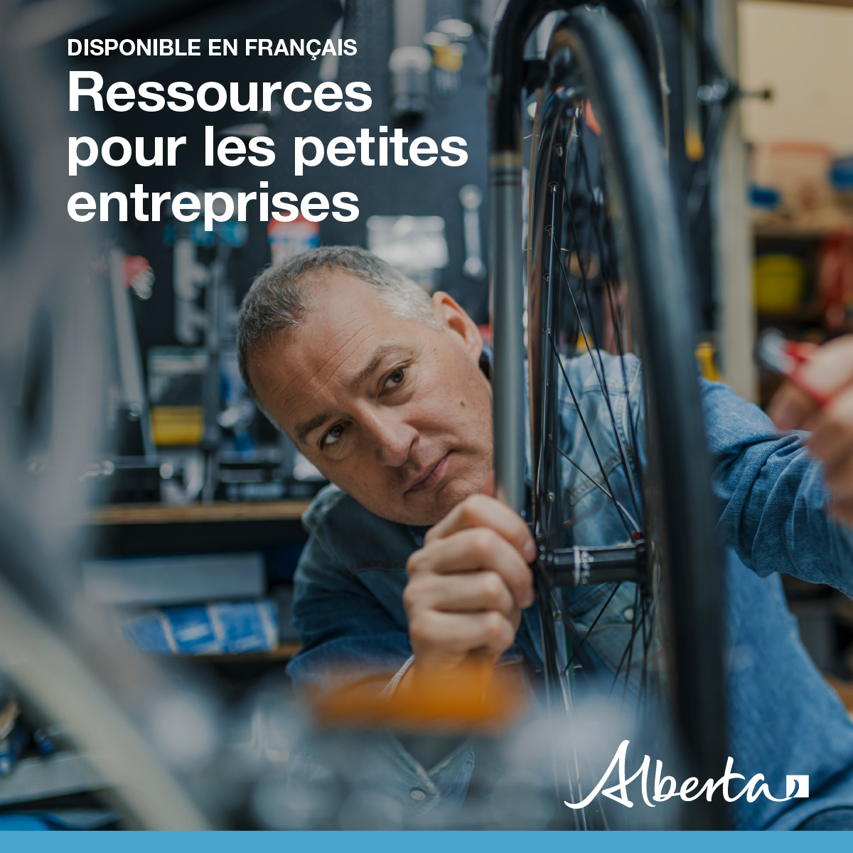 Bonjour Alberta tweet media