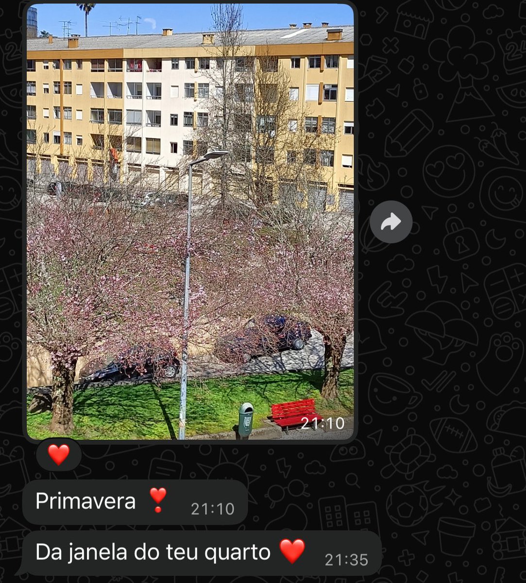 Estou a morar na China mas ainda penso nela e a minha mãe sabe…