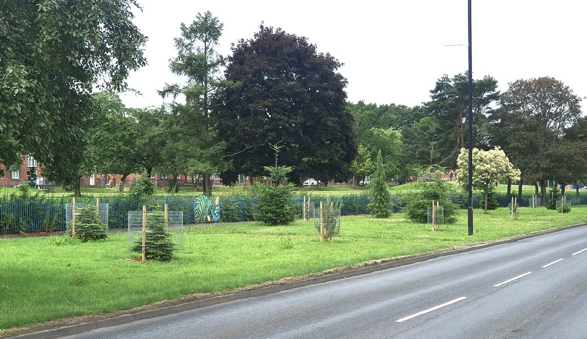 Manchester City Council tweet media