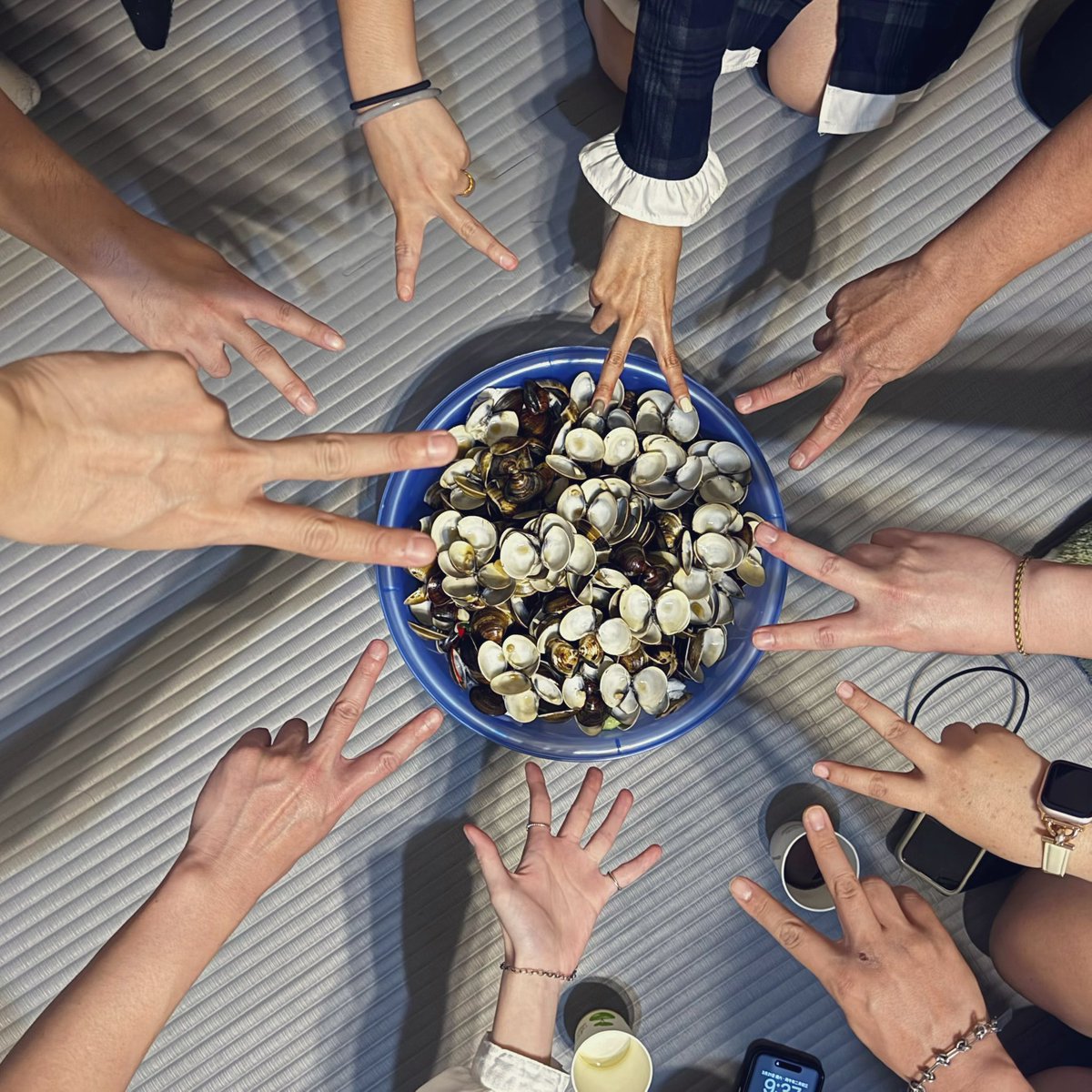 晝縛夜畜-Freedom space🐾 tweet media