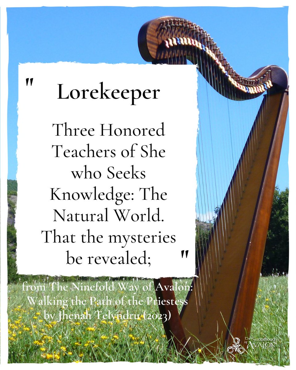 "Lorekeeper

Three honored teachers of one who seeks knowledge: The Natural World. That the mysteries be revealed; ..."
- from The Ninefold Way of Avalon: Walking the Path of the Priestess
by Jhenah Telyndru (2023)

#lorekeeper #teachers #trioeddynysafallon #ninefoldpath #natural