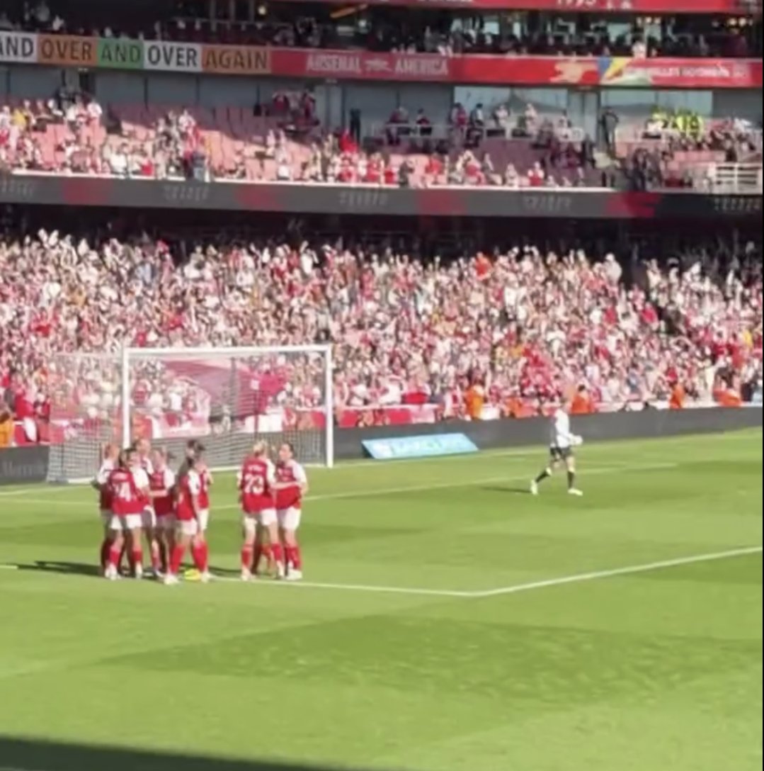 Joe Louis Monte ⭐⭐ tweet media