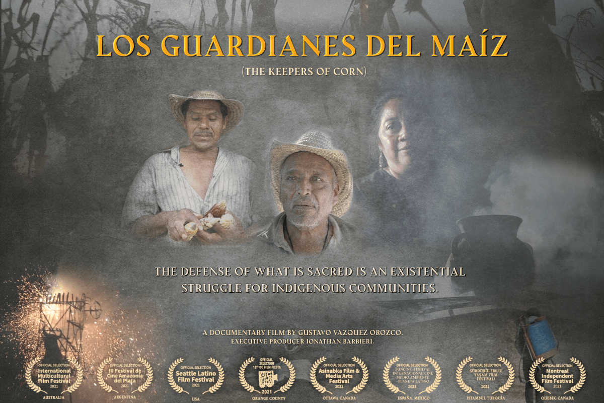 EmbaMex Países Bajos tweet media